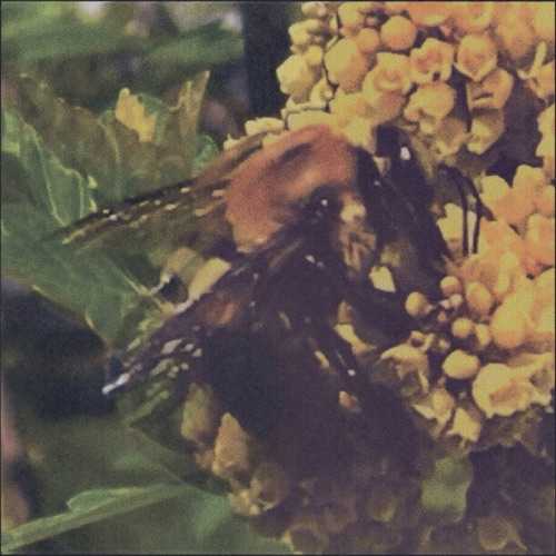 BRONCHO - Think I Pass