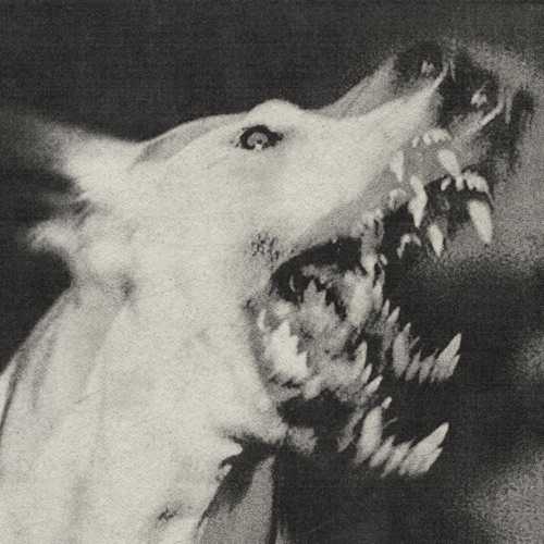 Ciśnienie - My childhood was a period of waiting for the moment when I could send everyone and everything connected with it to hell