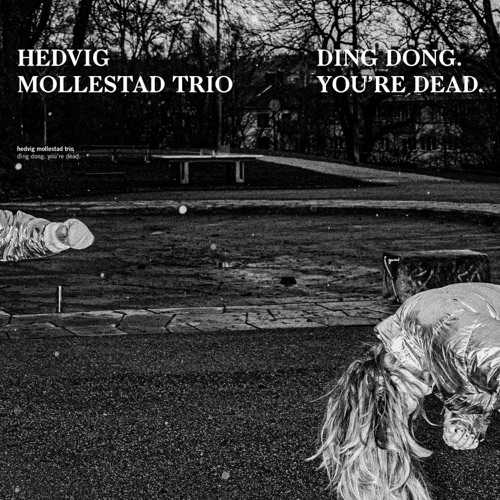 Hedvig Mollestad Trio - All Flights Cancelled